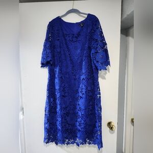 R&K Blue Sheath Dress with Flutter Sleeves and Crew Neck